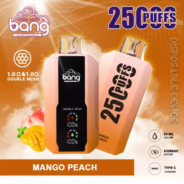 Top Bang 25000 Puffs Disposable Vapes to Buy in Bulk for European Retailers