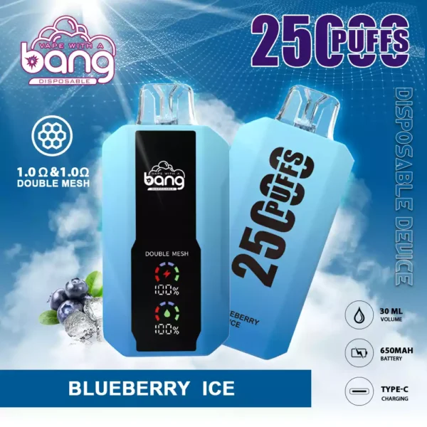 Where to Buy Bang 25000 Puffs Wholesale with a Range of Flavor Options