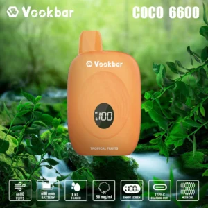 Objevte velkoobchodní prodej jednorázových vaporizérů Vookbar COCO 6600 Puffs 500mAh Type-C 3% s nízkým obsahem nikotinu od Source Factory s Flavo (6)