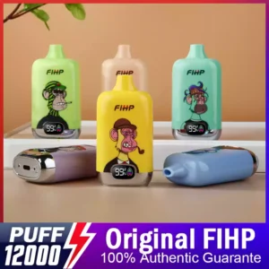 FIHP 12000 Puff 650mah Type-C Factory Direct Disposable Vapes Wholesale Low Nicotine Multiple Flavor Options (9)