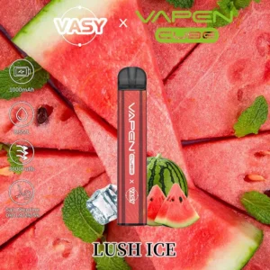 Top VAPEN Vapes Available in Stockholm