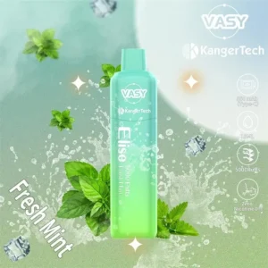 İsveç'te Gelişen Vasy Tek Kullanımlık Elektronik Sigara Pazarı