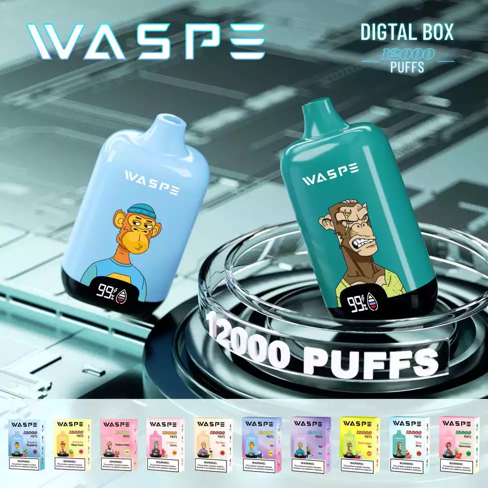 WASPE 12000 Puffs Dijital Kutu Tek Kullanımlık Vapes, Lezzetli Seçeneklerle Fabrikadan Toptan Satışa Sunulmaktadır (13)