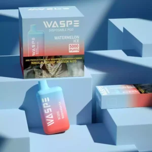 WASPE 5000 Puffs 650 mAh Type-C prot Nízkonikotinové jednorázové vapky přímo z továrního velkoobchodu s chutnými možnostmi (1)