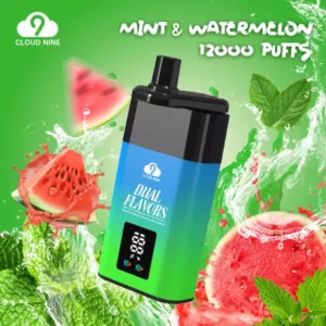 Cloud Nine D19P Puffs 10ml 500mAh Wegwerpvapes Groothandel Fabriek Direct Meerdere smaakopties voor een frisse smaak (2)