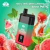 Cloud Nine D19P Puffs 10 ml 500mAh jednorázové vapes Velkoobchod Přímé z továrny Více možností příchutí pro svěží chuť (7)