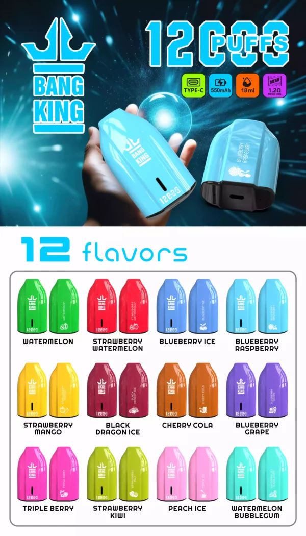 Bang king 12000 Puffs Low Nicotine 600mah Type C Disposable Vape Wholesale Factory Direct Multiple Flavors to Enhance Your Vaping Experience (1)