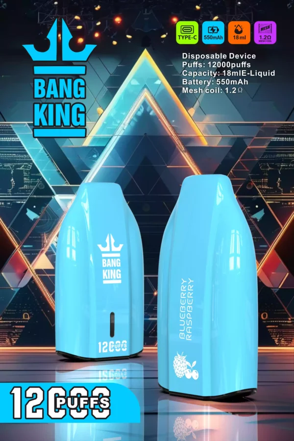 Bang king 12000 Puffs Low Nicotine 600mah Type C Disposable Vape Wholesale Factory Direct Multiple Flavors to Enhance Your Vaping Experience (2)