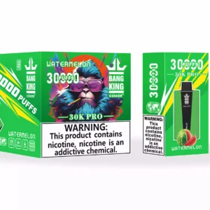 Bang king 30000 Puffs Pro Low Nicotine 36ml Disposable Vapes Factory Direct Bulk Buy Multiple Flavors for a New Taste Experience (3)