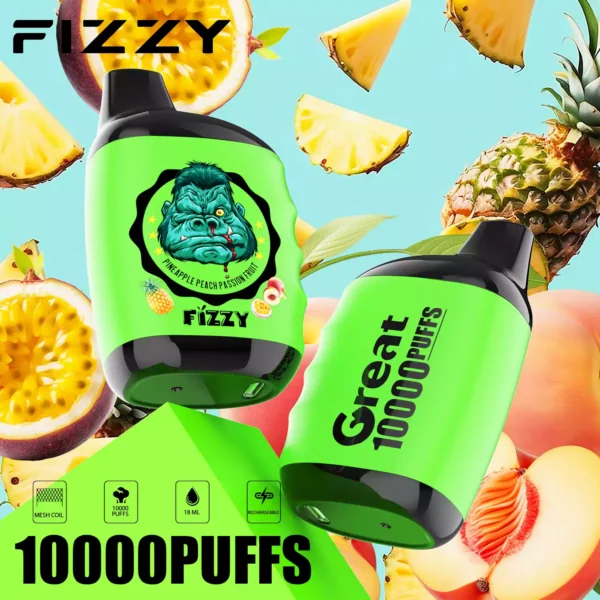 Fizzy Great 10000 Puffs Low Nicotine Disposable Vapes Wholesale Factory Direct Diverse Flavors for a Unique Vaping Experience (6)