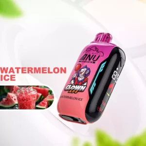 How to Buy Wholesale ANU Vista 30000 Puffs Disposable Vapes at the Best Prices in Europe 1