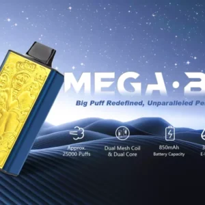 Найкращий одноразовий вейп JNR Mega Box 25000 затяжок 0% 2% 5% Нікотинова рідина 30 мл та акумуляторна батарея 850mAh типу C з швидкою зарядкою оптом безпосередньо від виробника (3)